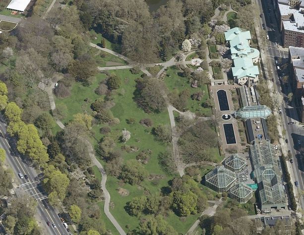 brooklyn botanic garden: brooklyn botanic garden